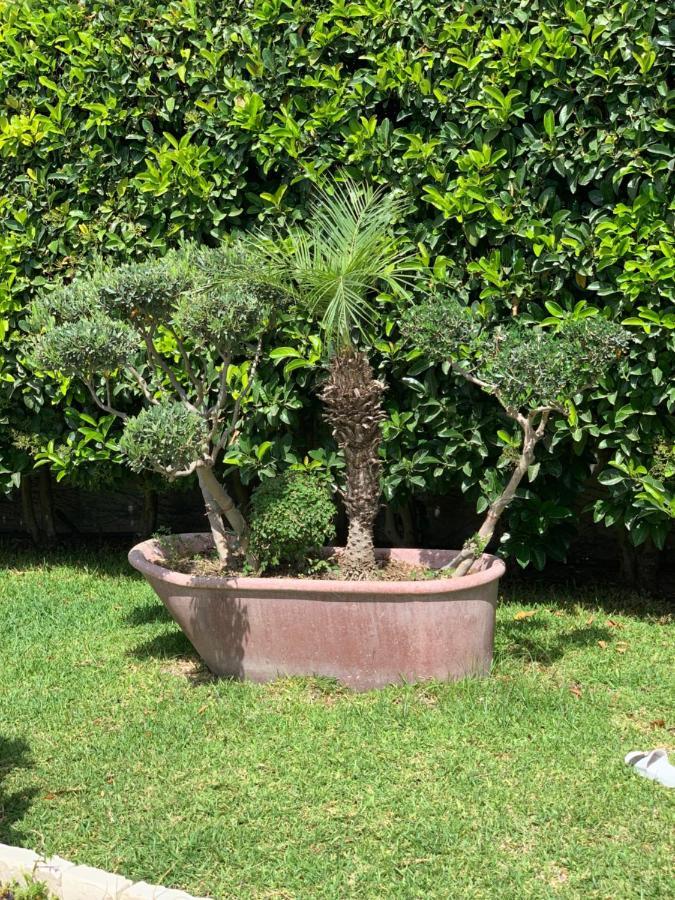 קרלנטיני B&B Vittoria House מראה חיצוני תמונה