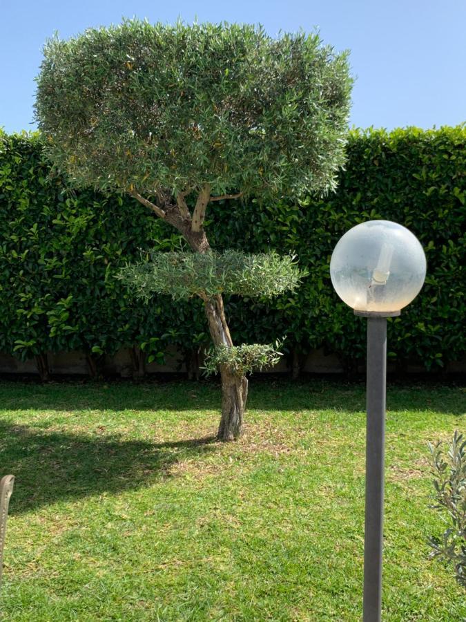 קרלנטיני B&B Vittoria House מראה חיצוני תמונה